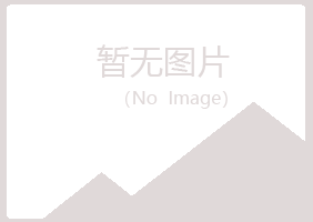 师宗县雨双咨询有限公司